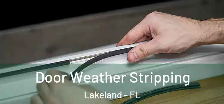  Door Weather Stripping Lakeland - FL